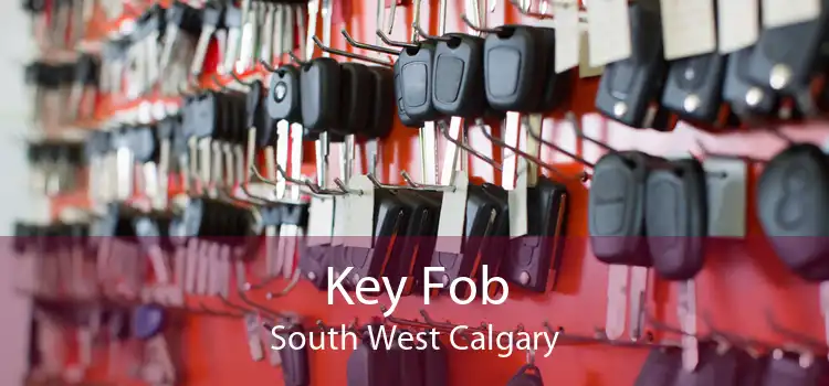 Key Fob South West Calgary