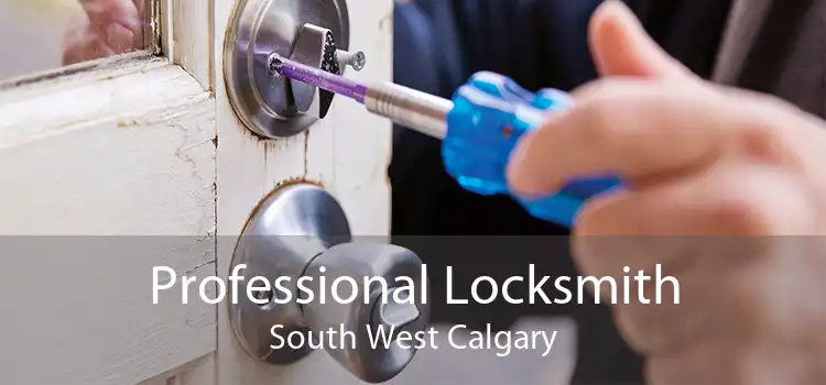 Professional Locksmith South West Calgary